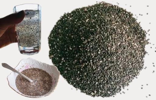 Super food chia seeds